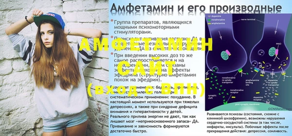 молекула духа Медвежьегорск