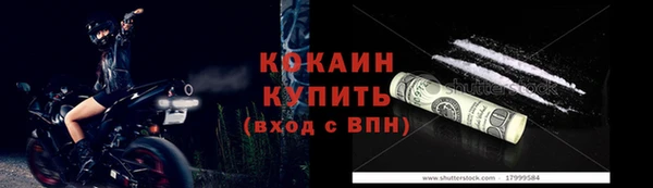 молекула духа Медвежьегорск