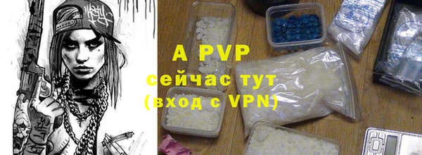 молекула духа Медвежьегорск