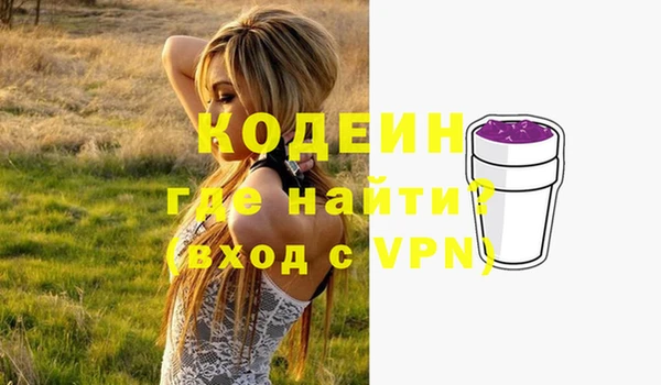 молекула духа Медвежьегорск