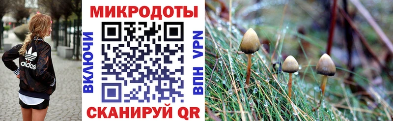 даркнет сайт  Керчь  Псилоцибиновые грибы мухоморы 